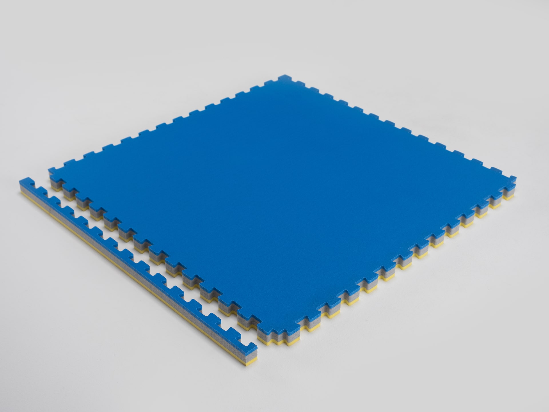 ProGame Kit 8 Pezzi Tatami Palestra 2 Cm BASIC-Home Blu/Rosso 50x50 Cm. Materassino Puzzle Tatami Karate - Made In Italy